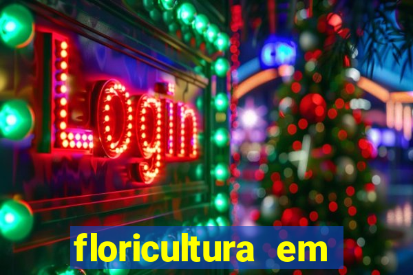 floricultura em franca sp